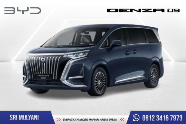 BYD DENZA D9