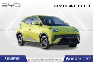 BYD ATTO 1