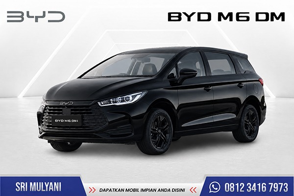 BYD M6 DM